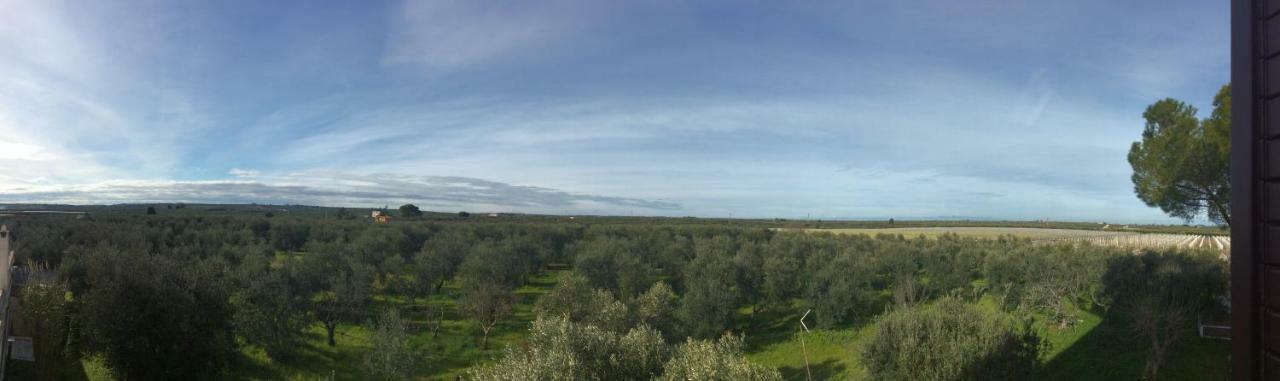 コラート Farm Agriturismo Masseria Chiusurellaヴィラ エクステリア 写真